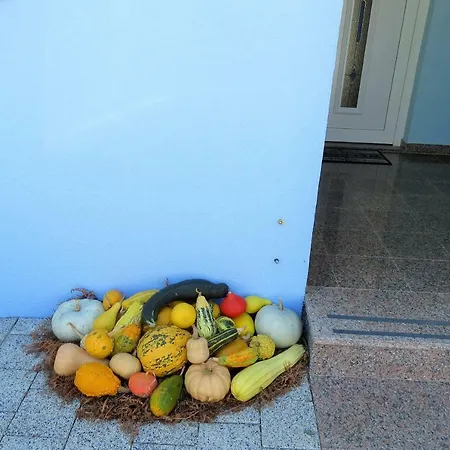 Apartmán Modra Kuca