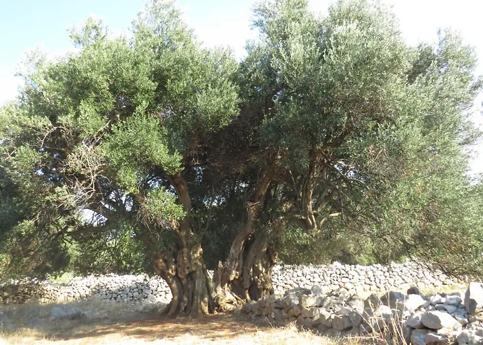 Modra Kuca Appartement Mandre