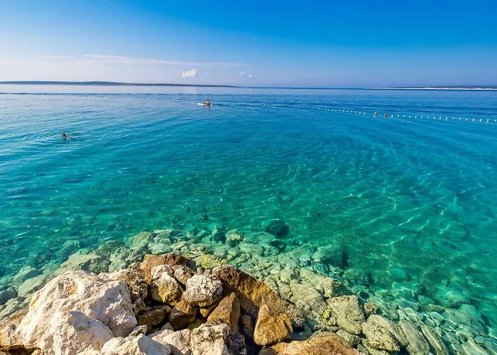 Апартаменты Modra Kuca *